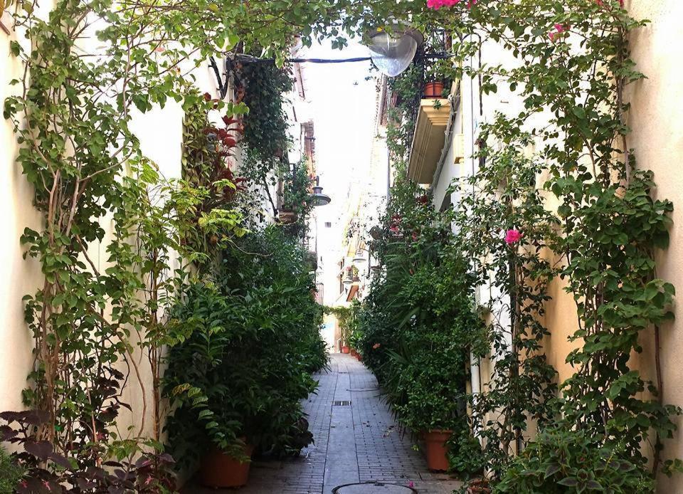 Casa Bonaire Lägenhet Jávea Exteriör bild